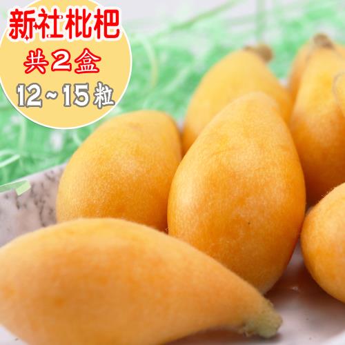 愛蜜果 新社枇杷12-15粒 共2盒(淨重約450g±5%/每盒)