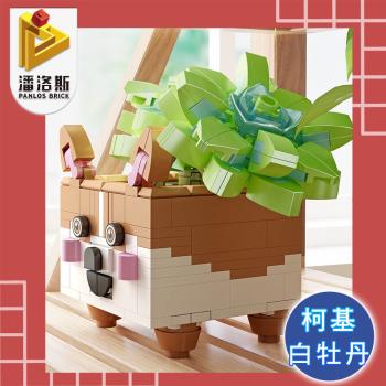 潘洛斯PANLOS BRICK 療癒必備多肉植物DIY組合模型 柯基白牡丹