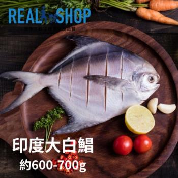 【RealShop 真食材本舖】印度大 白鯧約600-700g/片(清蒸 煎炸 輕鬆料理)