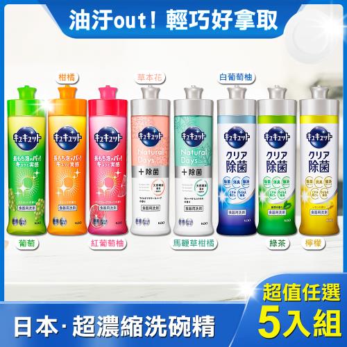 【花王Cucute】超濃縮除菌洗碗精240ｍl x5瓶 多款口味任選 KAO 珂珂透 