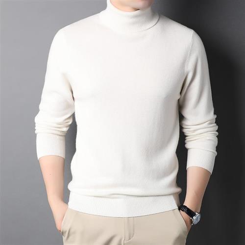 【米蘭精品】羊毛衫針織毛衣-高領純色修身加厚男上衣7色74dp27