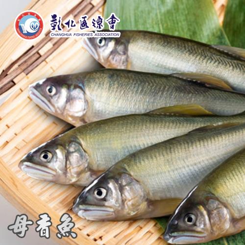 彰化漁會  爆卵母香魚-1kg-4-5入(以重量計)-盒 (1盒組)