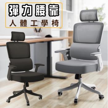 【Z.O.E】Model-X人體工學網椅/電腦椅/辦公椅(2色可選)