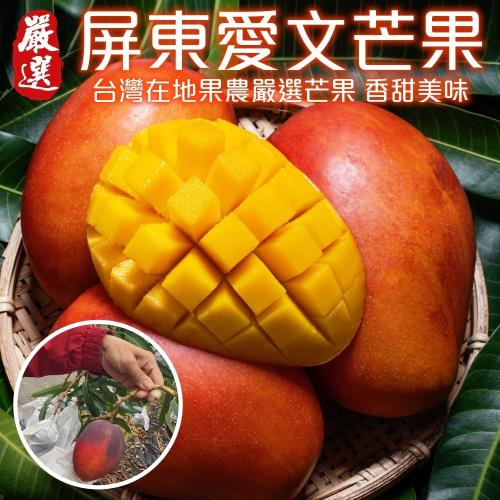 果農直配-屏東愛文芒果原箱(12-15入_約10斤/箱)x2箱