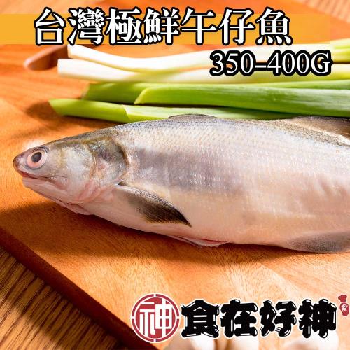 【食在好神】午仔魚350-400克 共8尾