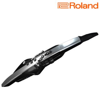 『ROLAND樂蘭』Aerophone GO電子薩克斯風 AE-30 數位吹管 / 公司貨保固