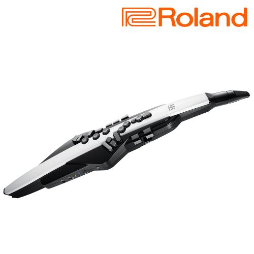 『ROLAND樂蘭』Aerophone GO電子薩克斯風 AE-20 數位吹管 / 公司貨保固