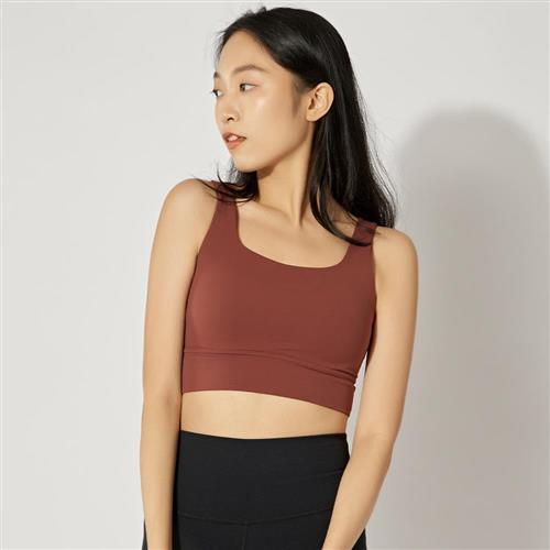 Nike Nk Alate Ellipse Ll Bra 女款 磚紅色 中度支撐 排汗 瑜珈 運動 內衣 DO6620-231