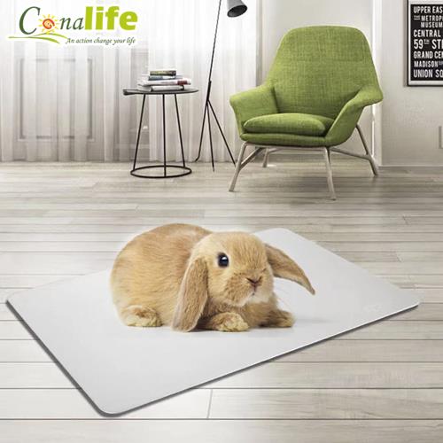 Conalife 小寵物鼠兔涼感降溫鋁製散熱墊├30X20cm┤ (1入)