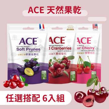 【ACE】天然果乾系列 軟嫩蜜棗乾 / 大蔓越莓乾 / 酸櫻桃乾 6入組