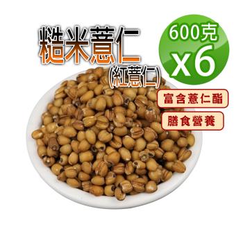 【蔘大王】糙米薏仁（600gX6）低熱量紅薏仁 富含薏仁酯 膳食營養