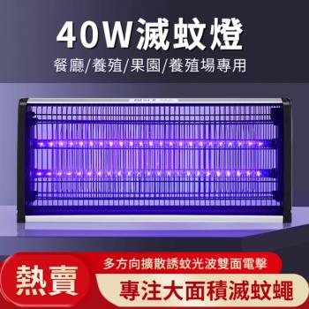 【高效滅蚊】電擊式滅蚊燈 110V燈帶式滅蚊燈 藍光誘捕 大範圍可壁掛靜音補蚊 捕蚊燈 滅蚊燈