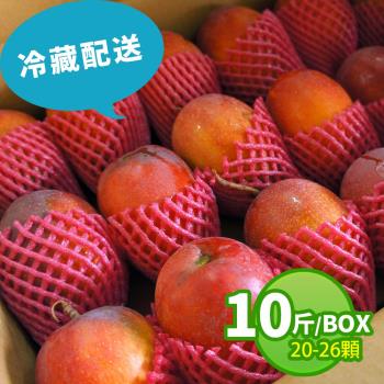 築地一番鮮-【產地直送】現貨愛文芒果10斤(20-26顆/箱)-冷藏配送