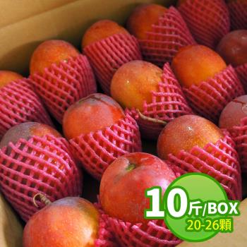 築地一番鮮-【產地直送】現貨愛文芒果10斤(20-26顆/箱)-常溫配送