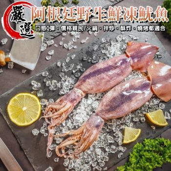 海肉管家-阿根廷野生鮮凍魷魚共4尾(2尾_260-340g/包)