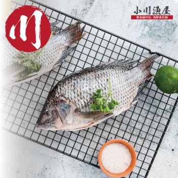【小川漁屋】精選台灣鯛魚3尾(250~300g/尾)
