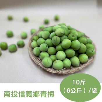 【RealShop 真食材本舖】南投信義鄉青梅 特級 大果 約10斤/6kg±10%袋裝