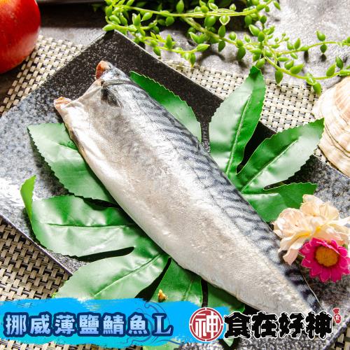 【食在好神】挪威薄鹽鯖魚(L) x18包