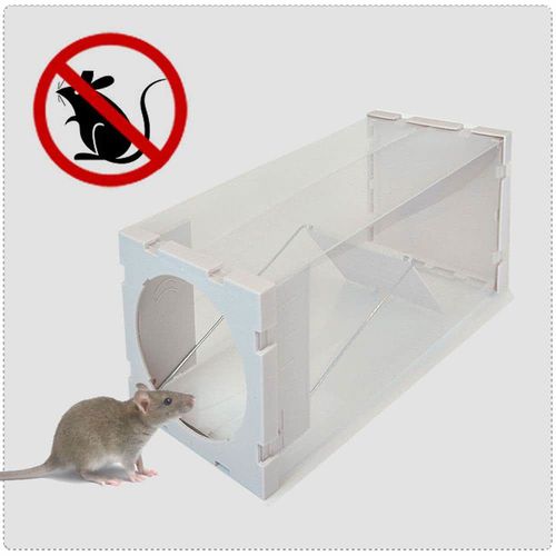 神捕 捕鼠 人道捕鼠瓶 老鼠瓶 黏鼠板 老鼠籠 捕鼠利器 比老鼠板好用 世界專利