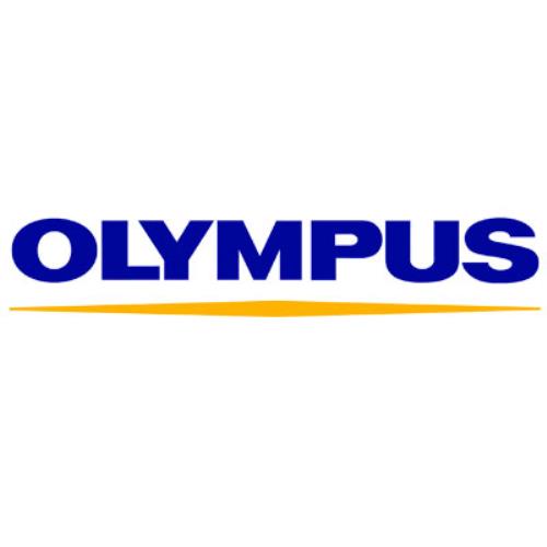 OLYMPUS BLN-1 原廠鋰電池 原廠電池(BLN1,OMD EM5/EP5/EM1專用)