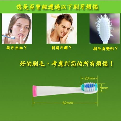 SEAGO賽嘉 杜邦標準刷頭牙刷替換刷頭2組(共4支) SG-899 