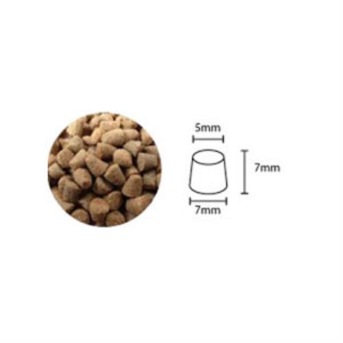 Oven-Baked 烘焙客 成犬深海魚口味 狗飼料 5磅*1包 小顆粒