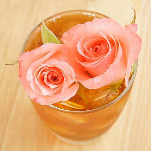 【花草巫婆】冷泡飲 玫瑰錫蘭 12入