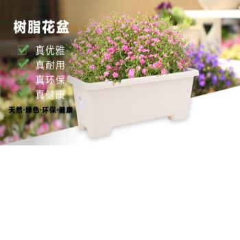 [協貿國際]四腳式種植花盆長方形pp樹脂花盆種花種菜磨砂盆長條盆單一個