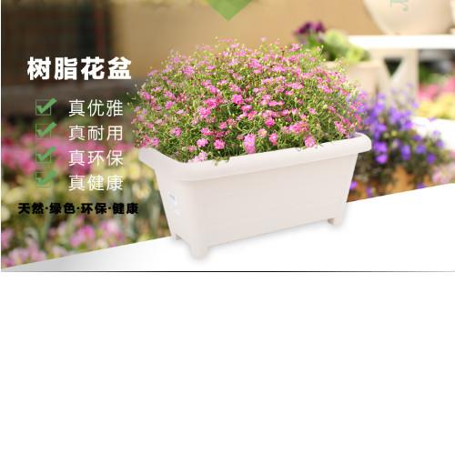 協貿國際 仿木花盆長方形樹脂花盆長條盆陽台種菜盆塑料花盆單一個 花盆 架 Etmall東森購物網 協貿國際 仿木花盆長方形樹脂花盆長條盆陽台種菜盆塑料花盆單一個 花盆 架 Etmall東森購物網