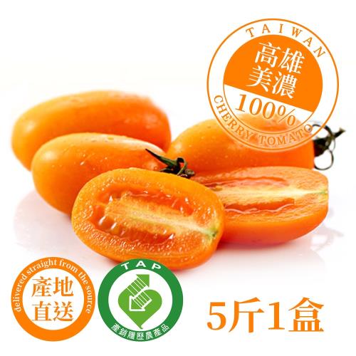 【美濃正宗】產銷履歷橙蜜香小番茄 5斤1箱 
