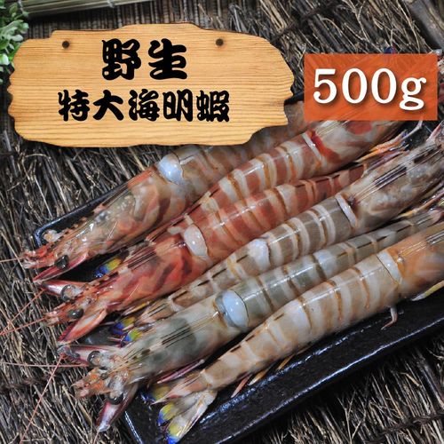漁季-野生特大海明蝦1盒(500g/盒/6p)