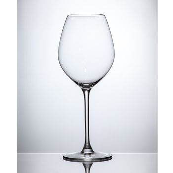 【Rona樂娜】Le Vin樂活系列 / 白酒杯480ml(2入)-RN6605/480