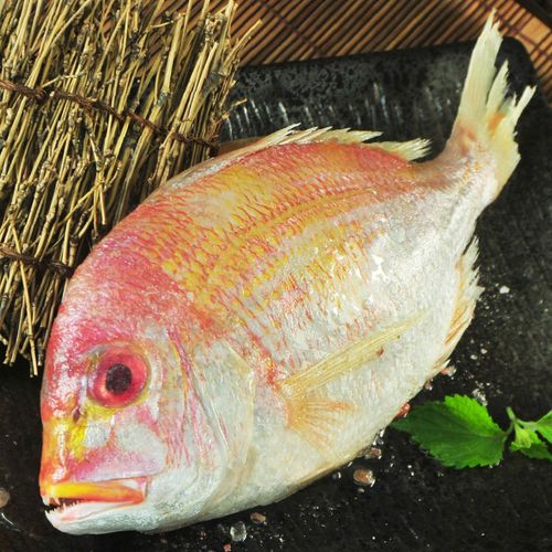 漁季 現撈直送頂級特大赤鯮魚360克6包