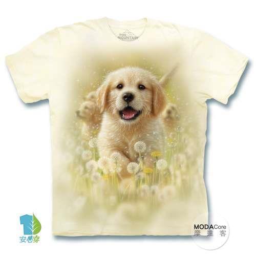 摩達客 (預購)( 男童/女童裝) 美國進口The Mountain  微笑小黃金獵犬 純棉環保藝術中性短袖T恤
