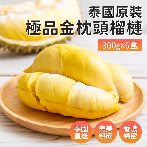 【榴槤大王】泰國極品金枕頭榴槤300克x6盒(原裝進口)