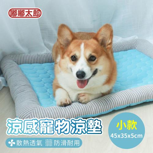【嘟嘟太郎】冰絲涼感寵物床墊(小款/45x35x5cm) 涼感床墊 冰絲涼墊 寵物墊