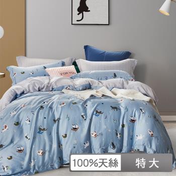【貝兒居家生活館】100%天絲四件式兩用被床包組 (特大雙人/快樂時光藍)