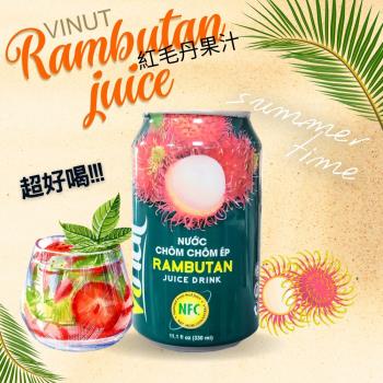 【今晚饗吃】Vinut-紅毛丹果汁330ml *1組(24罐)-免運組
