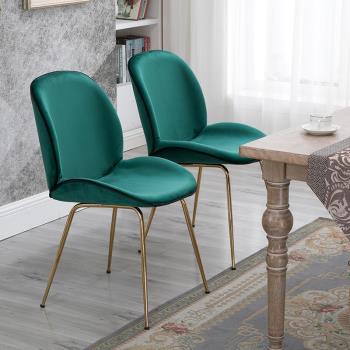 北歐鐵藝甲殼蟲餐椅簡約家用休閑靠背椅網紅美甲椅辦公椅咖啡椅
