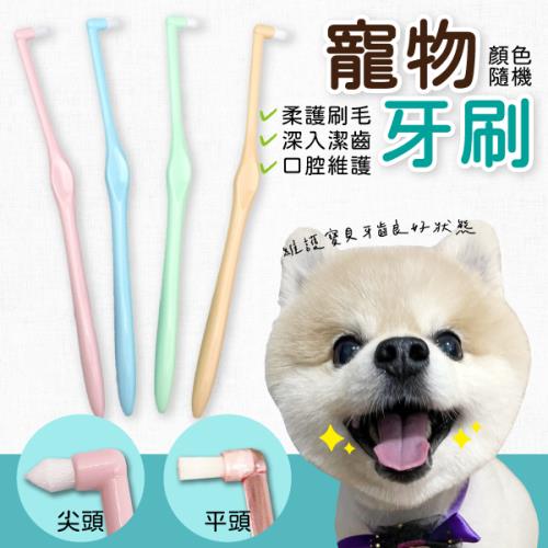 【單入】寵物牙刷 (16.5cm/支)【款式可選】 顏色隨機