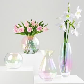 北歐輕奢透明玻璃花瓶圓球形花瓶網紅現代簡約居家桌面花器擺件