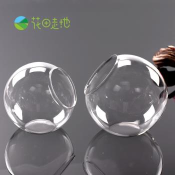 透明斜口玻璃球形花瓶 玻璃多肉花盆 微景觀DIY生態玻璃瓶 苔蘚瓶