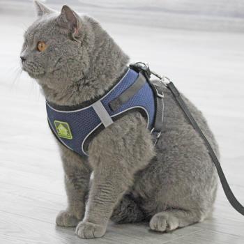 貓繩子貓咪牽引繩背心式透氣衣服胸背帶防掙脫可調節伸縮英短藍貓