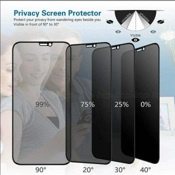 適用iPhone12 XSMAX XR 1178 Privacy Glass ScreenProtector防窺