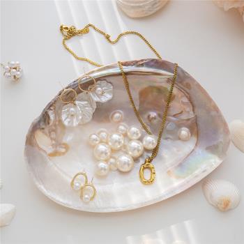 天然野生珠寶擺拍裝飾ins貝殼