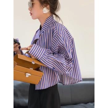 紫色Polo領條紋短款襯衫女春季防曬衫法式襯衣獨特超好看減齡上衣