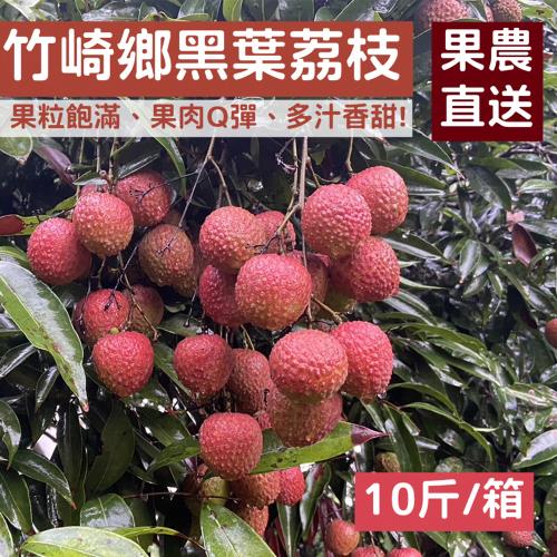【e點紅】嘉義竹崎－黑葉荔枝10斤/箱 (產地直送)－常溫宅配