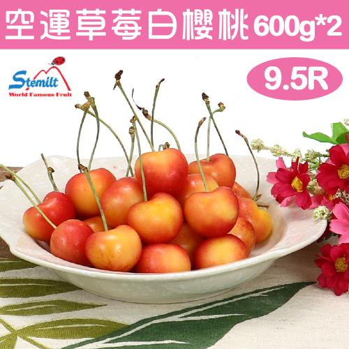 愛蜜果 美國華盛頓空運草莓白櫻桃9.5R (淨重約600G*2盒)