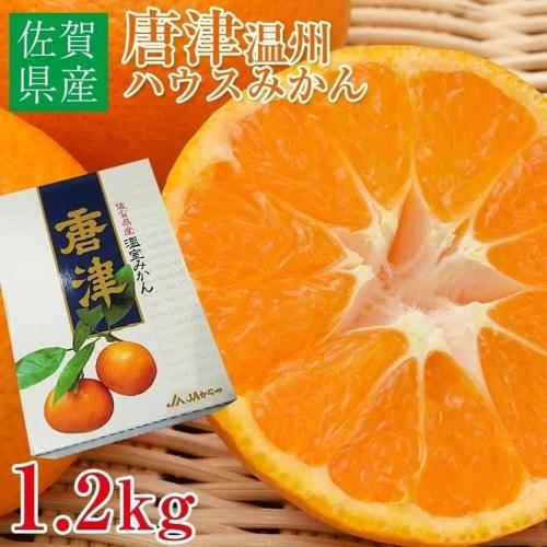 果物樂園-日本唐津蜜柑(12-15入_約1.2kg/盒)
