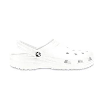 Crocs Classic WhiMolded 男鞋 女鞋 白色 洞洞鞋 布希鞋 卡駱馳 涼拖鞋 10001-100
